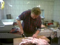 Der Haushaer beim Ausl&ouml;sen