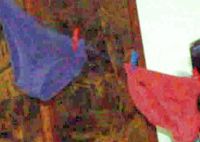 Die Schl&uuml;pfer des Jahres!