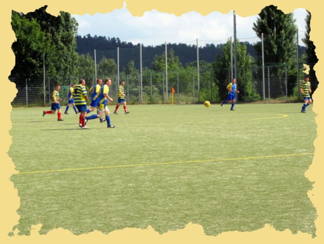 vfb67_sportage2010_samstag__61_.jpg